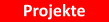 Projekte